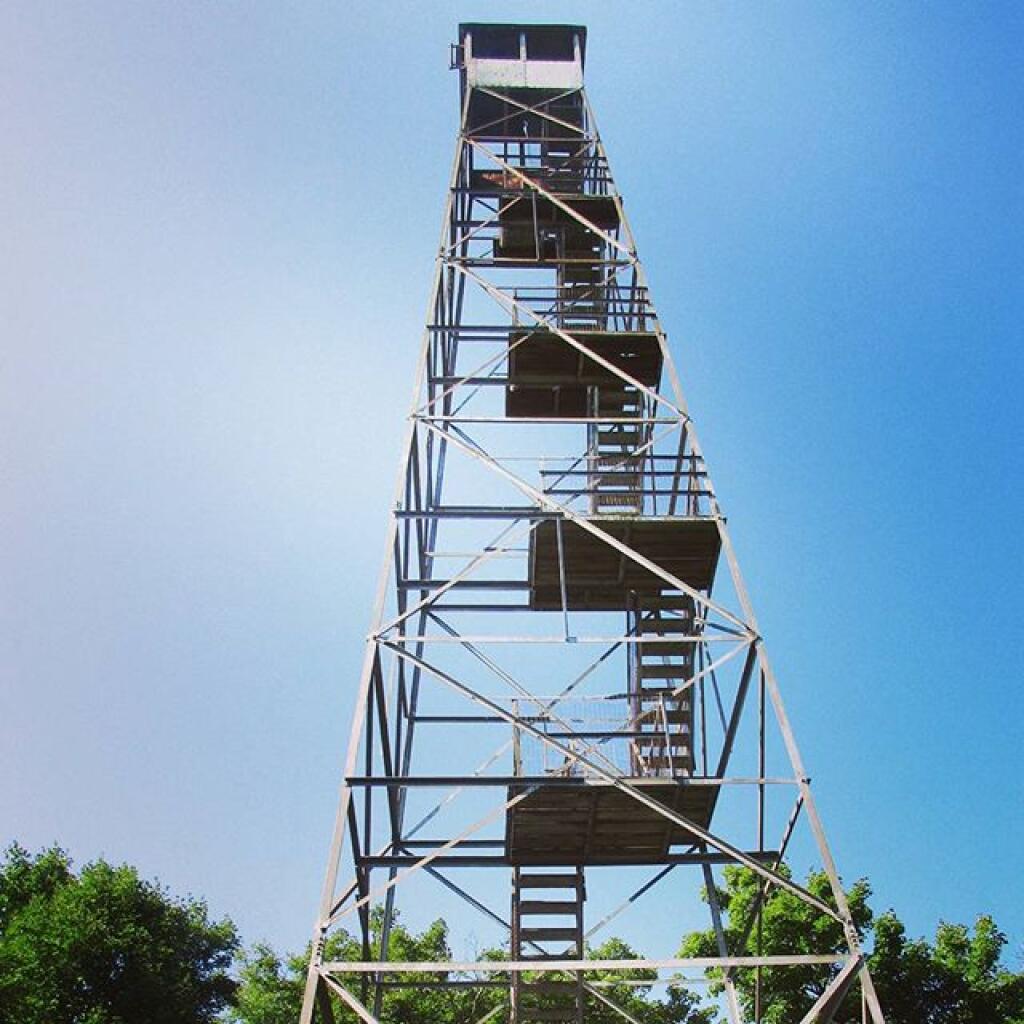 Photo: Fire Tower