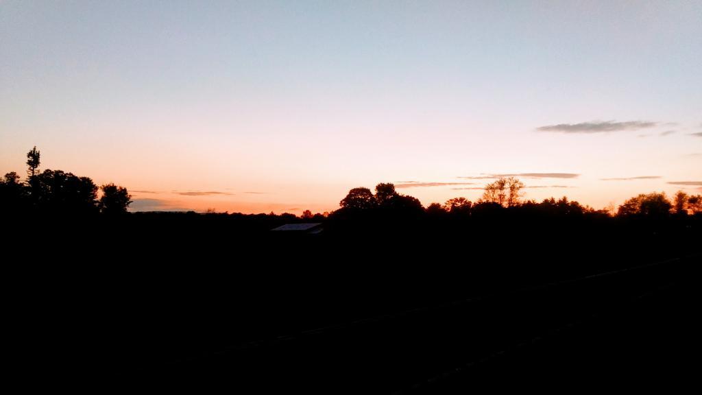 Photo:  Summer Evening