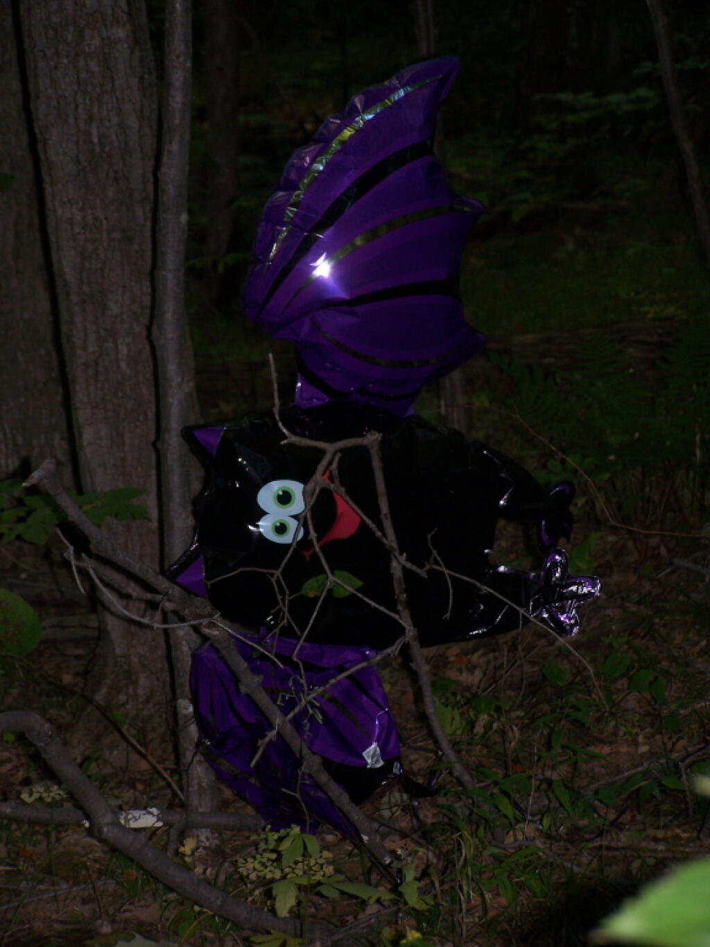 Photo: Metallic Bat Photo: Metallic Bat