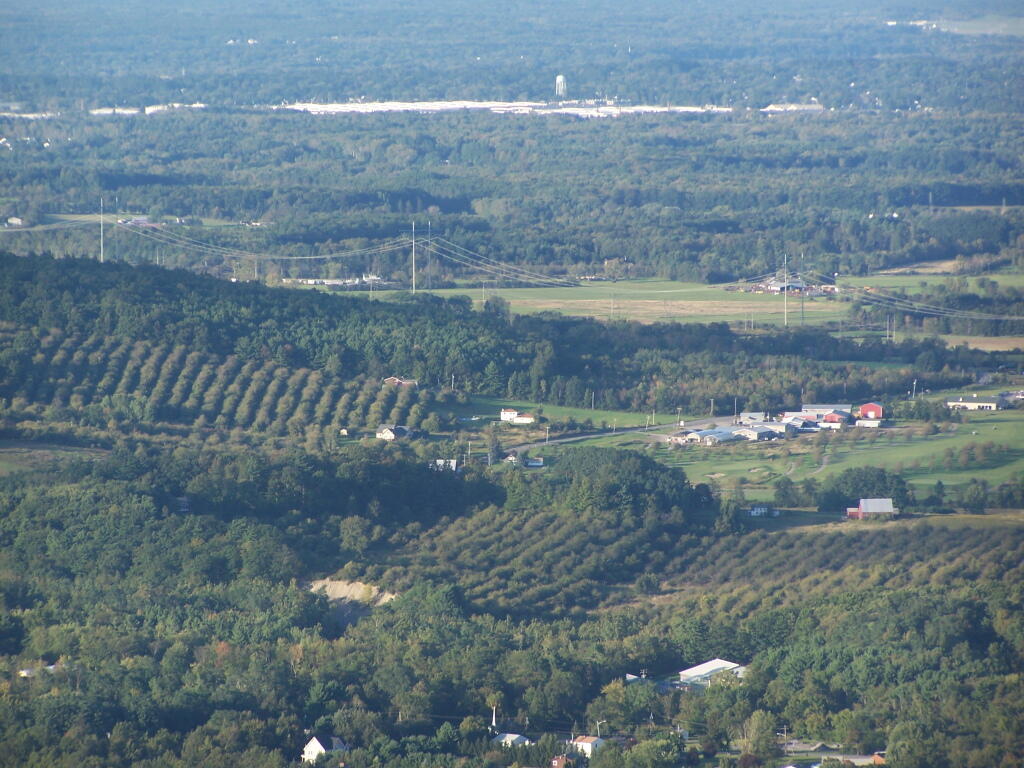Photo: Altamont Orchards