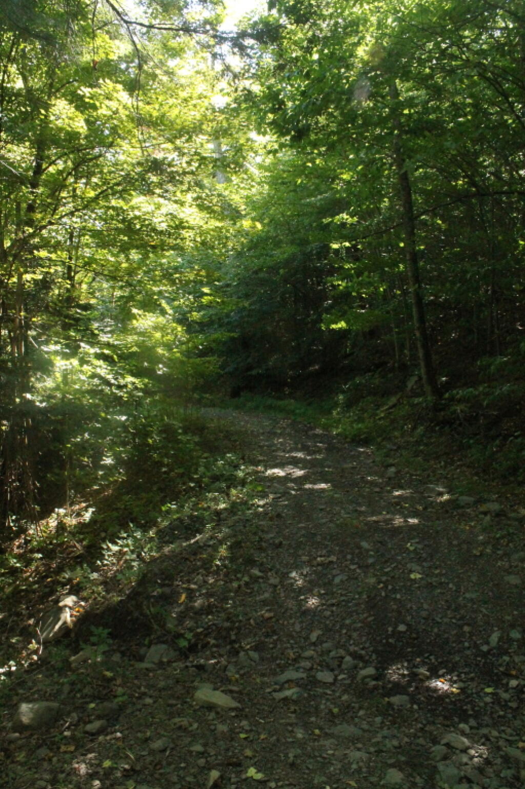 Photo: Starting to Climb Out of Gorge