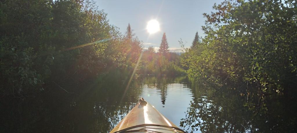 Photo: Evening on East Canada Creek Photo: Evening on East Canada Creek