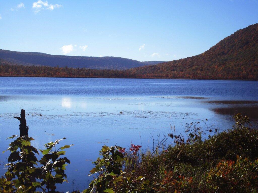 Photo: Labrador Pond On A Sunny Columbus Day