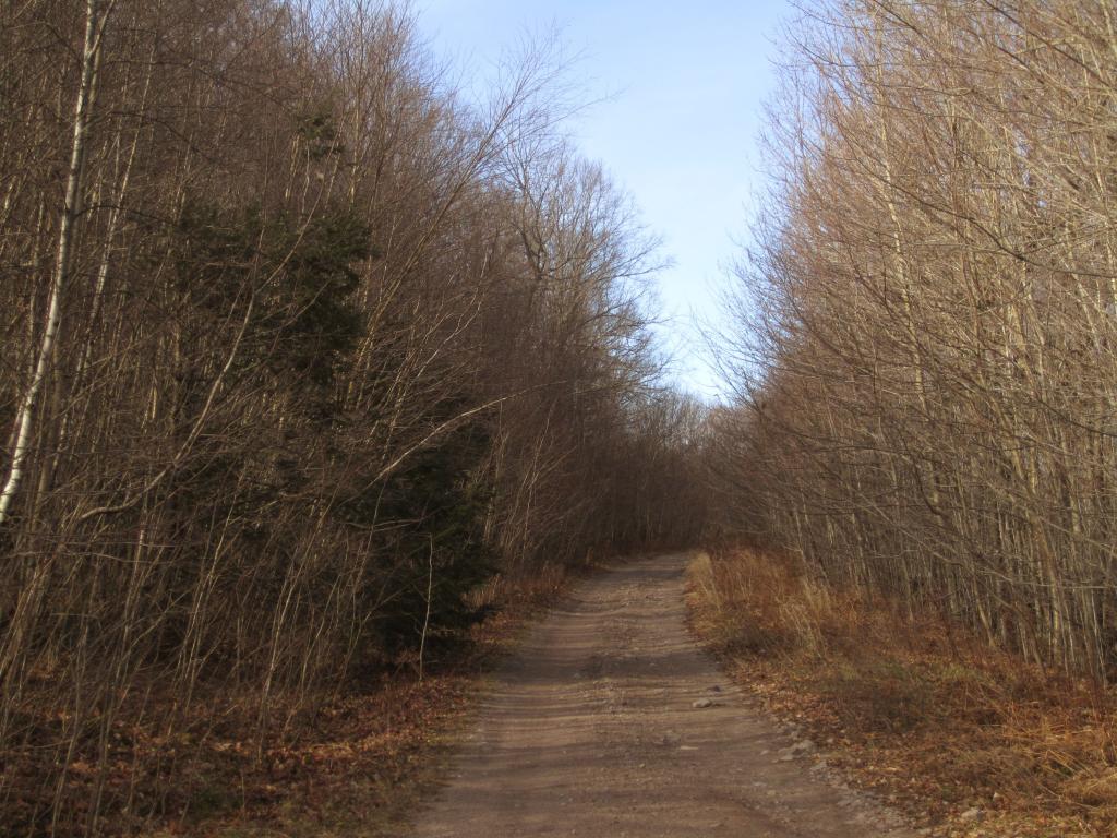 Photo: Walkerville Road Photo: Walkerville Road