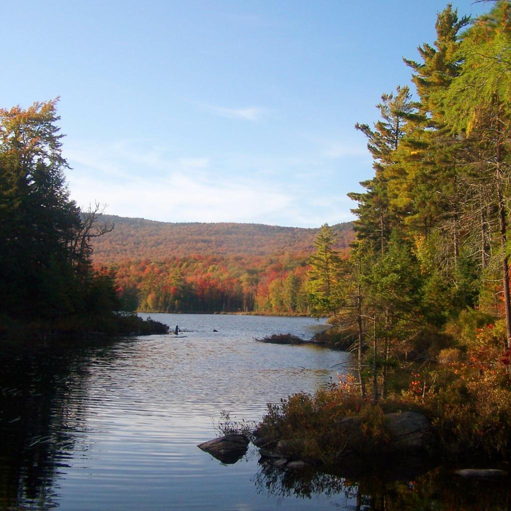 Photo: Wakely Pond