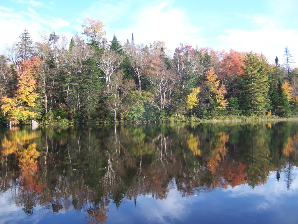 Photo: Eastern Shore from Boat Launch