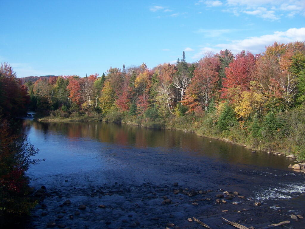 Photo: Cedar River