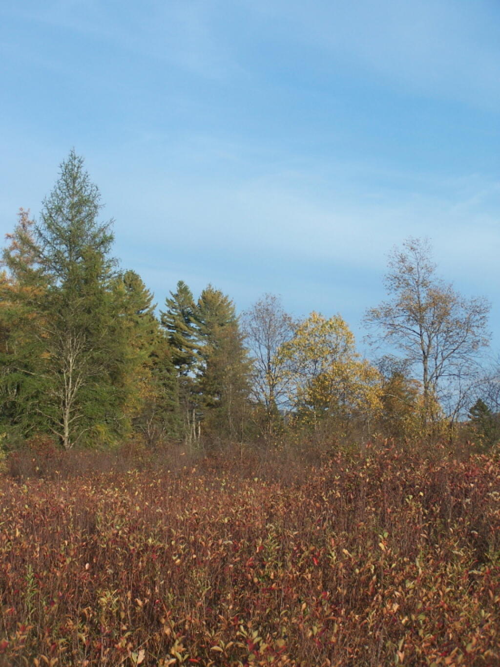 Photo: The Plains in the Fall