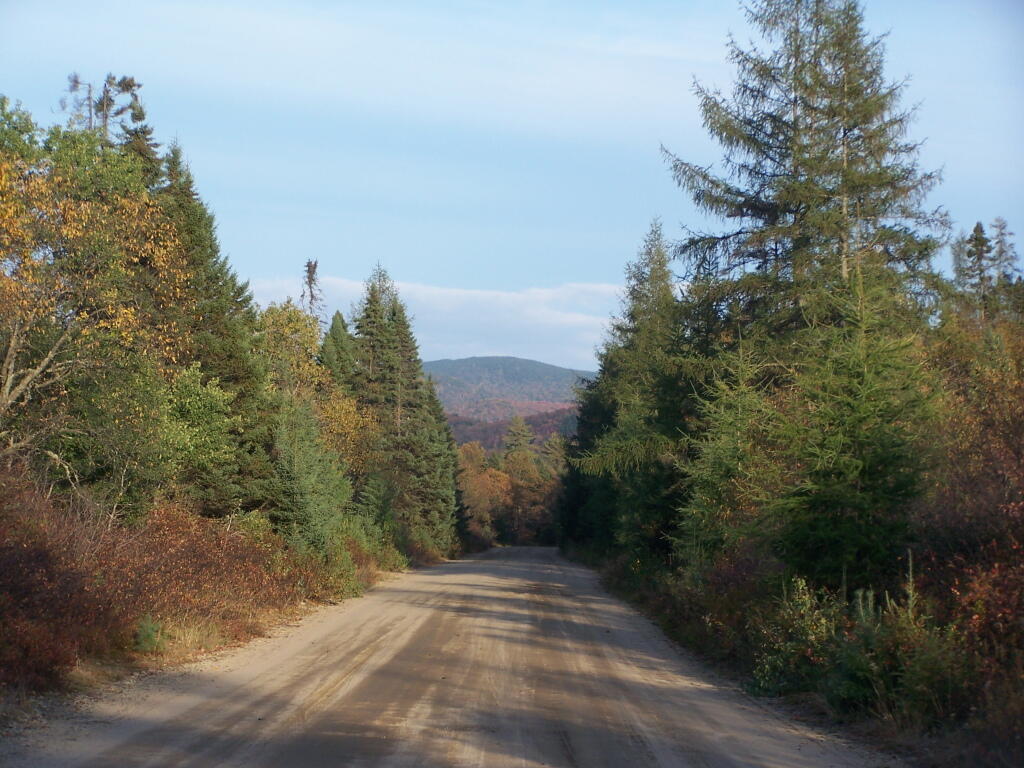 Photo: Moose River Road in the Plains Photo: Moose River Road in the Plains
