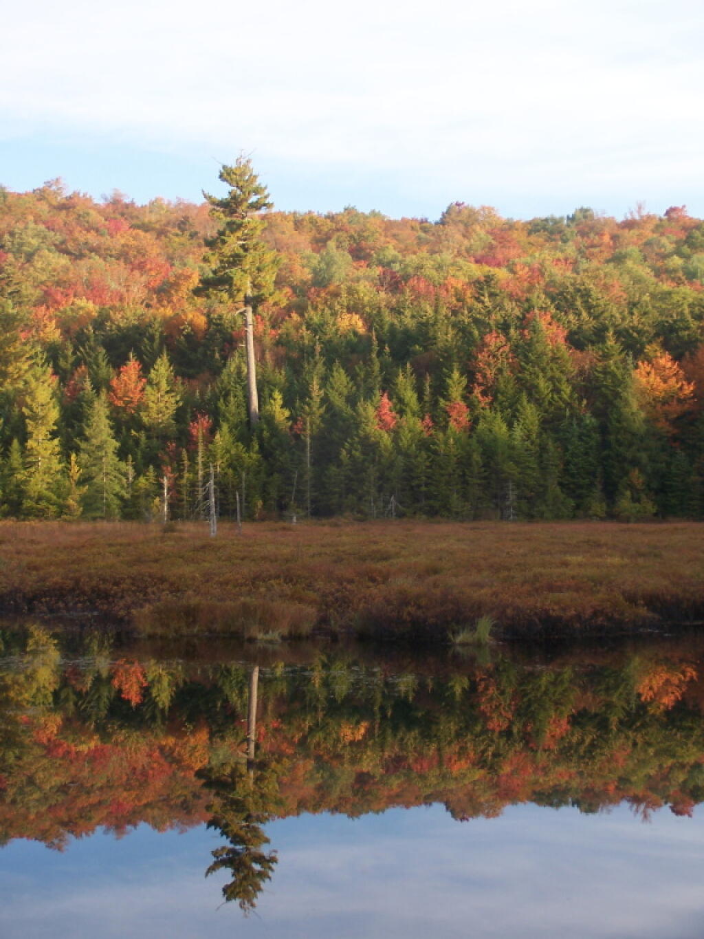 Photo: Reflection Swamp Near Silver Run