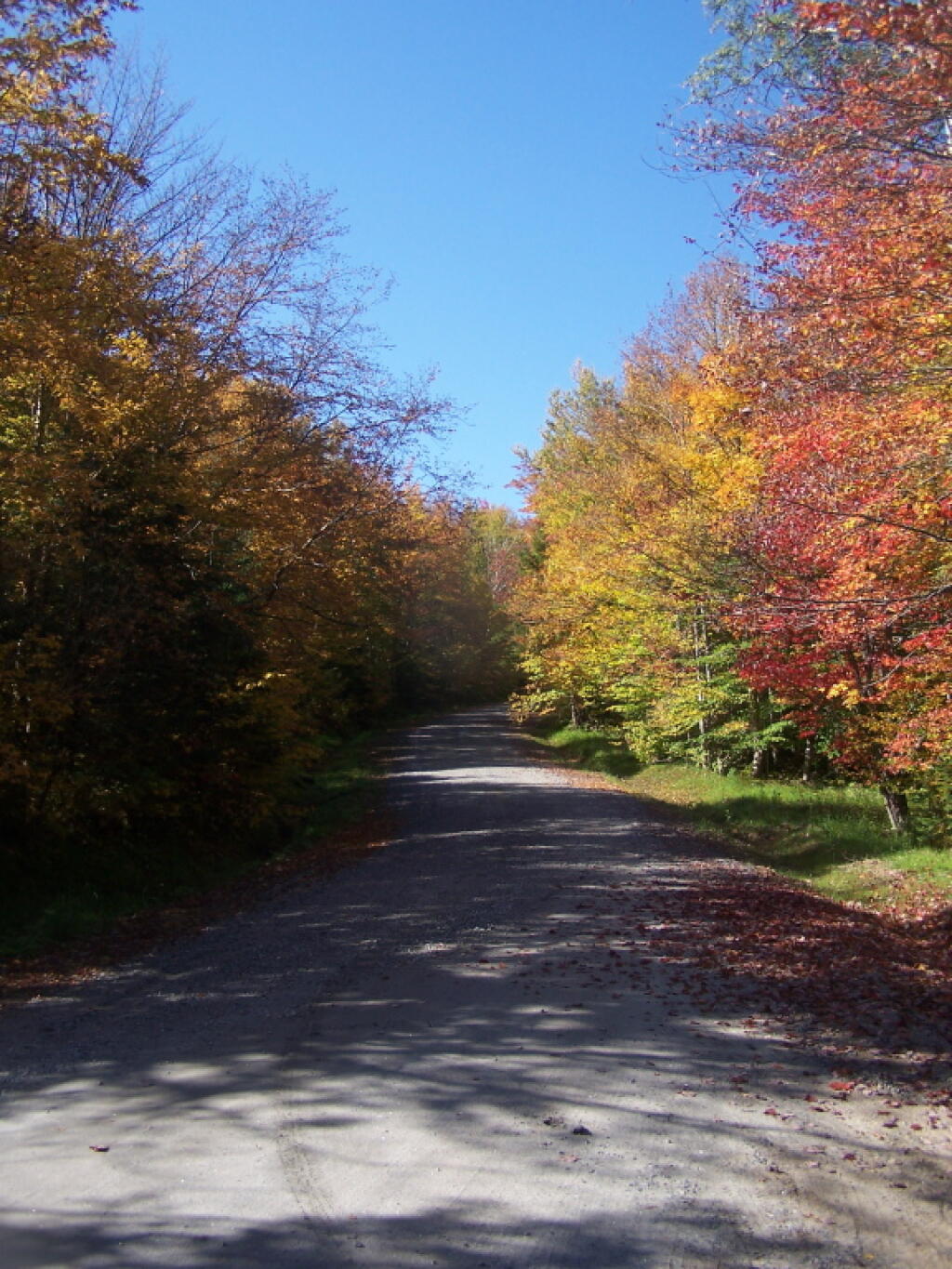 Photo: Road Wandering Up Back Side of Sturges Hills Photo: Road Wandering Up Back Side of Sturges Hills