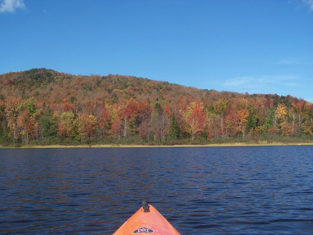 Photo: Colors Along the Western Shore