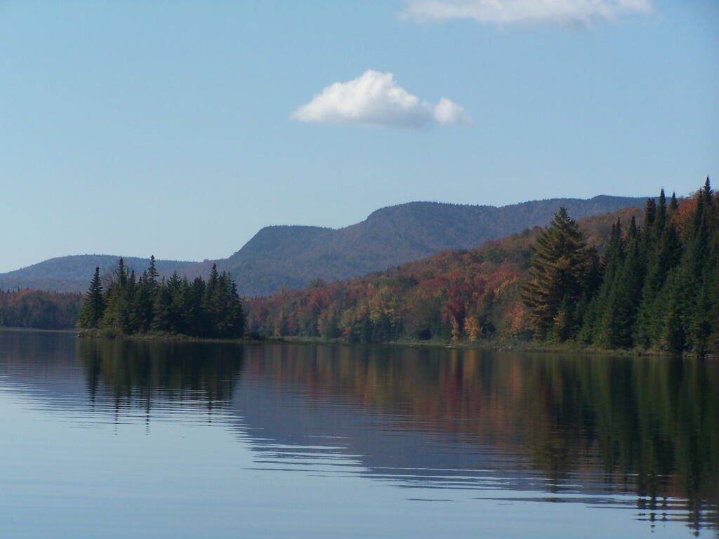 Photo: Sturges Hills Photo: Sturges Hills