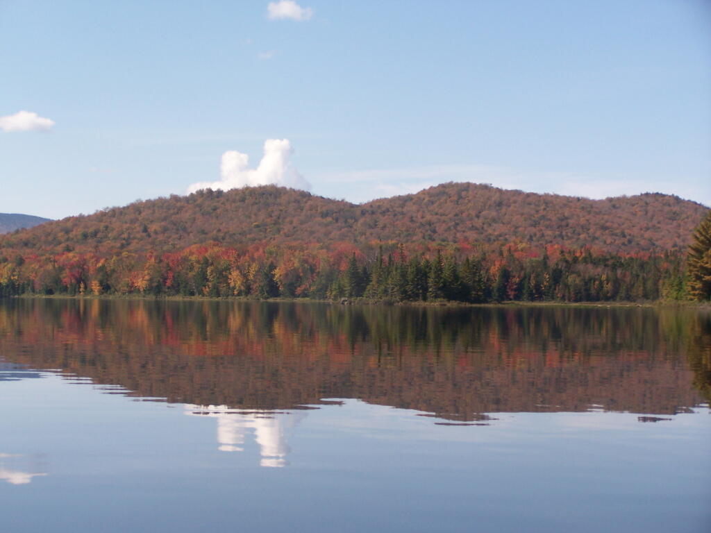 Photo: Sturges Hills Has Some Color