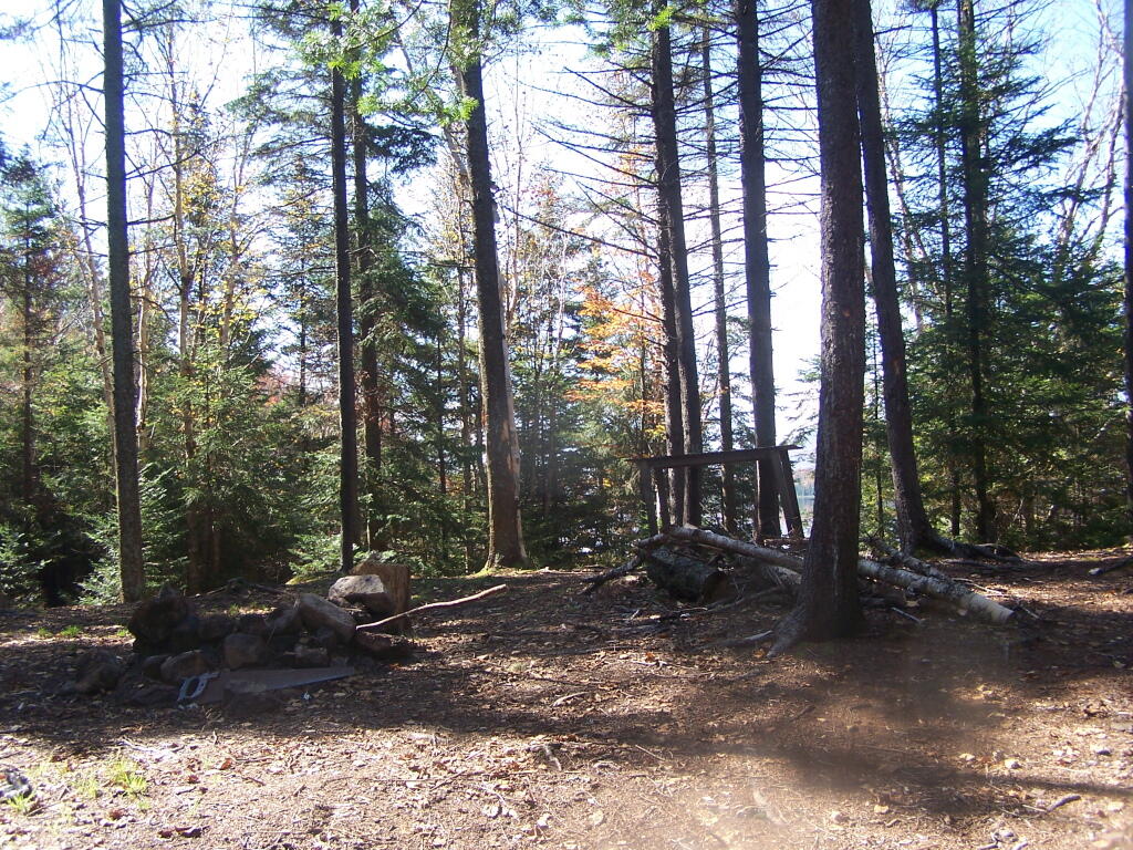 Photo: Campsite Along Cedar River Flow