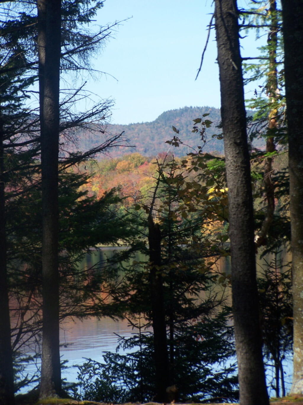 Photo: Looking Out from a Campsite Photo: Looking Out from a Campsite