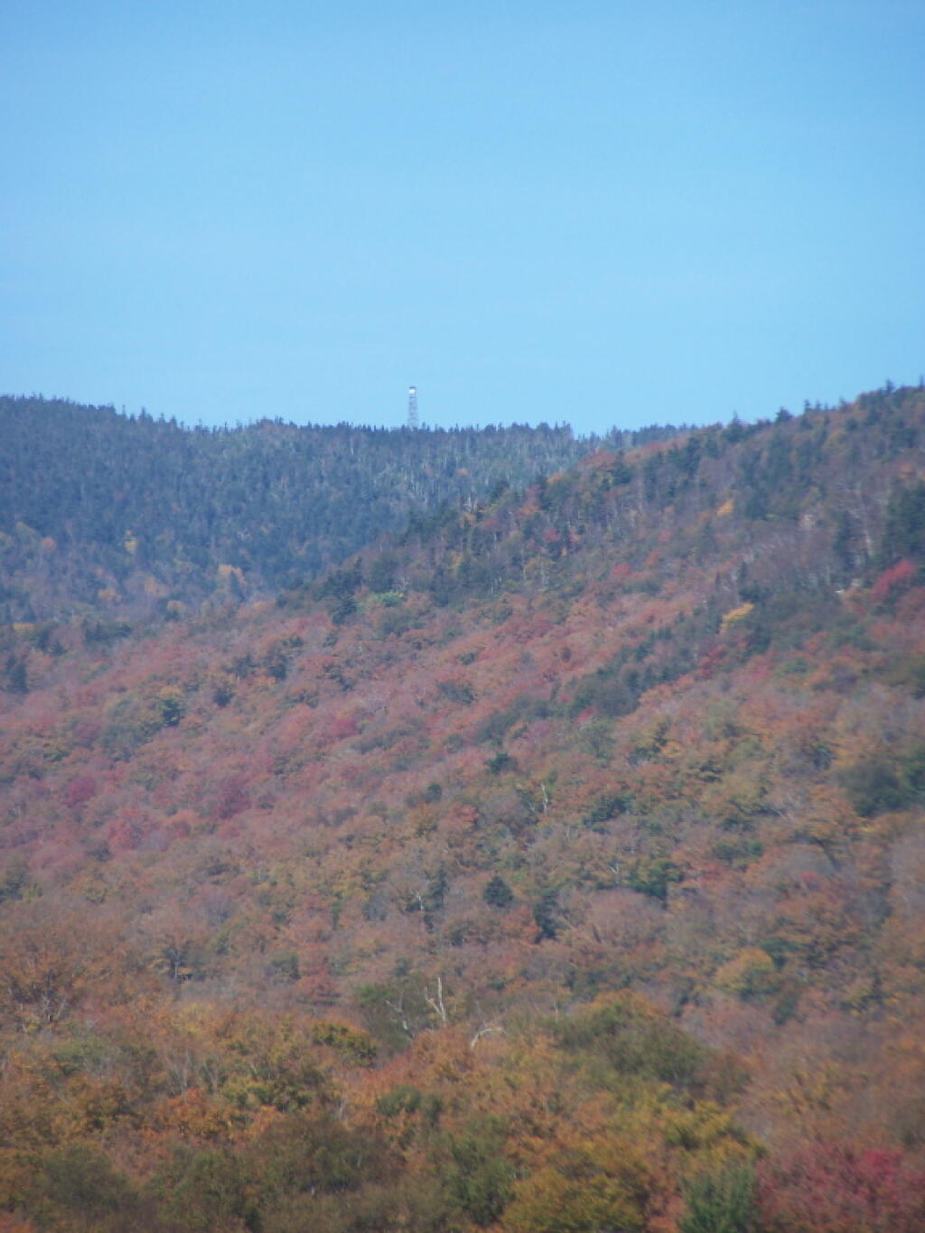 Photo: Wakely Mountain Firetower, As Seen from Cedar River Flow