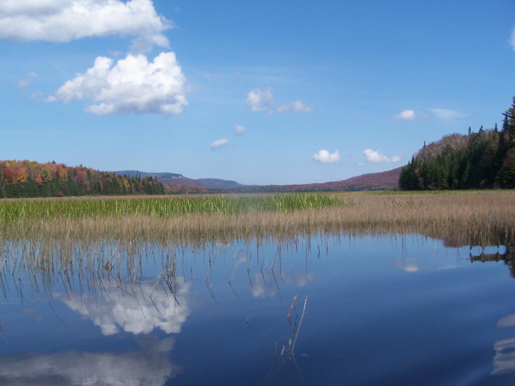 Photo: Looking North East