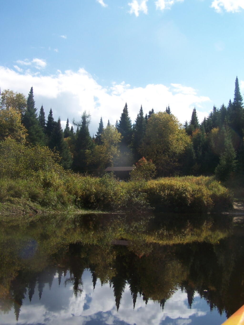 Photo: Shelter Along the Cedar River Photo: Shelter Along the Cedar River