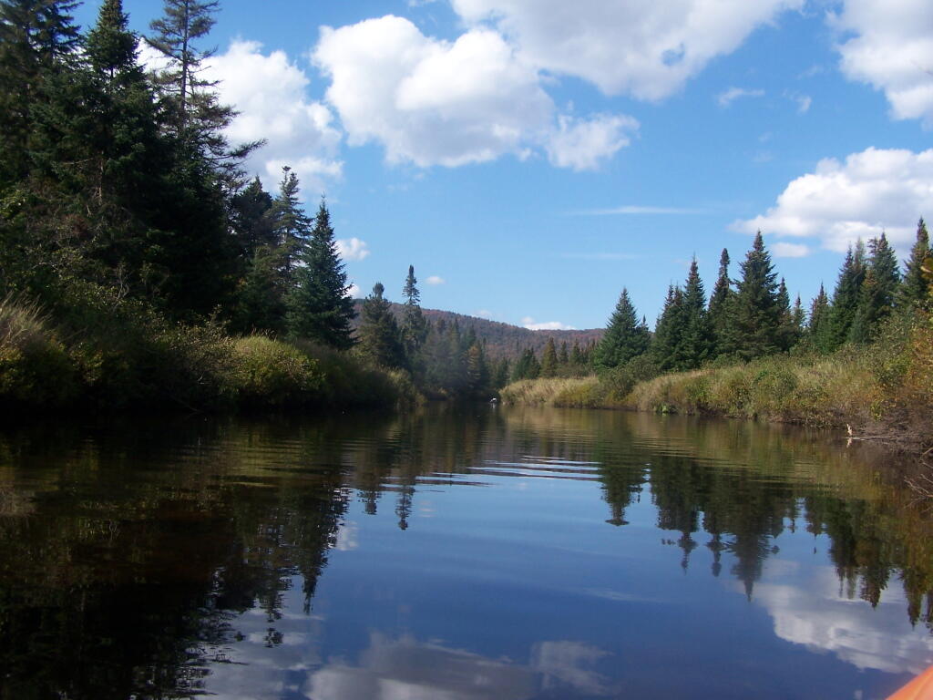 Photo: Paddlng Along the Cedar River Photo: Paddlng Along the Cedar River