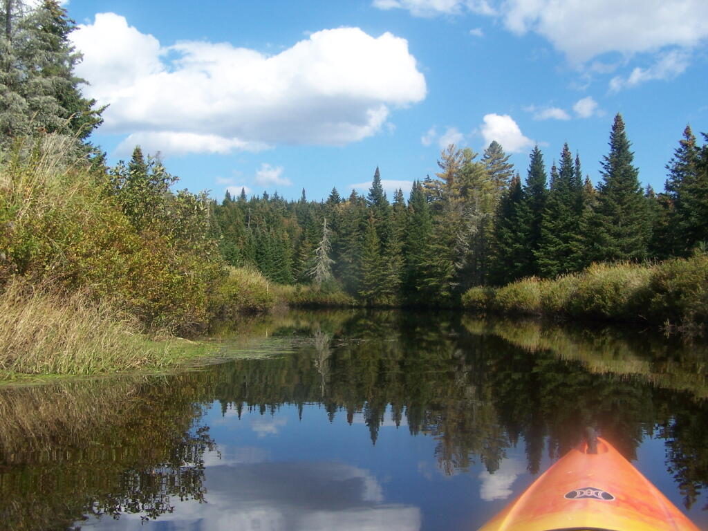 Photo: Scenic River for Sure. Photo: Scenic River for Sure.