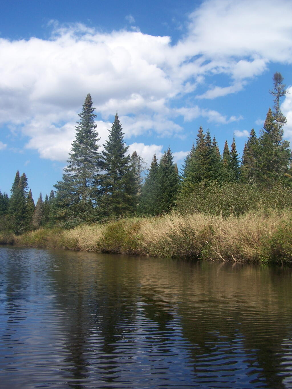 Photo: On the River Photo: On the River