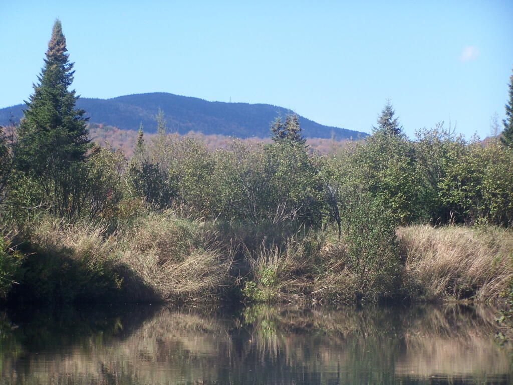 Photo: There's Wakely Mountain (as seen from Cedar River). Photo: There's Wakely Mountain (as seen from Cedar River).