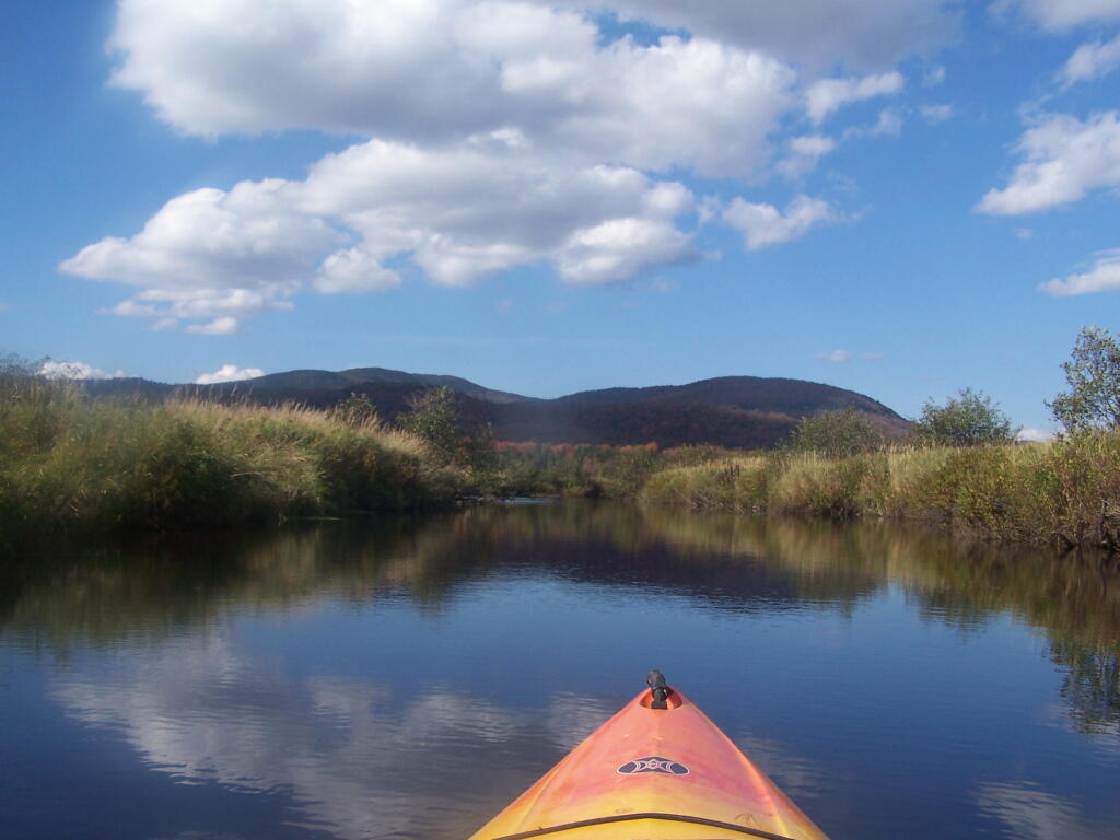 Photo: Along the Cedar River