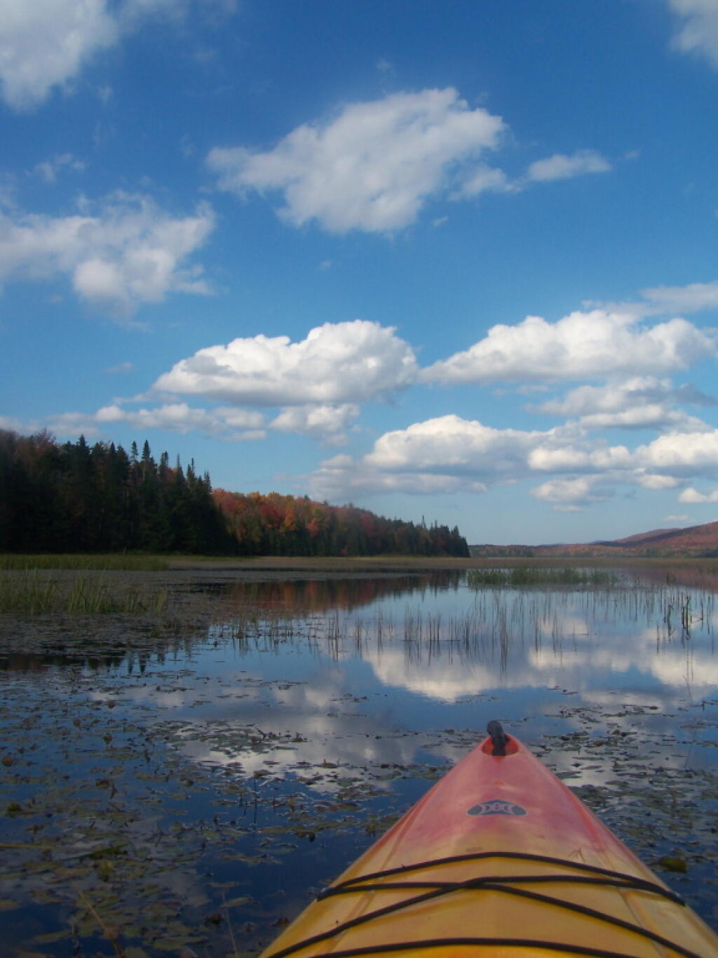 Photo: Heading North Photo: Heading North