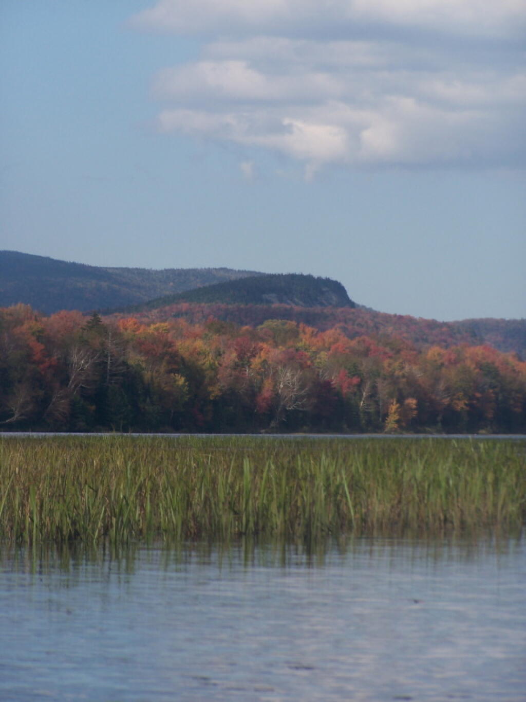 Photo: Sugar Loaf Photo: Sugar Loaf