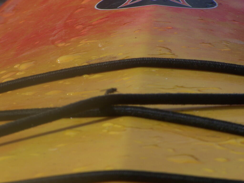 Photo: Black Flies Everywheres, All Over the Kayak