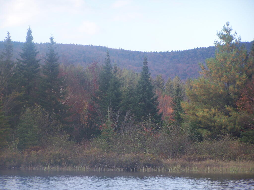 Photo: Along the Lake Photo: Along the Lake
