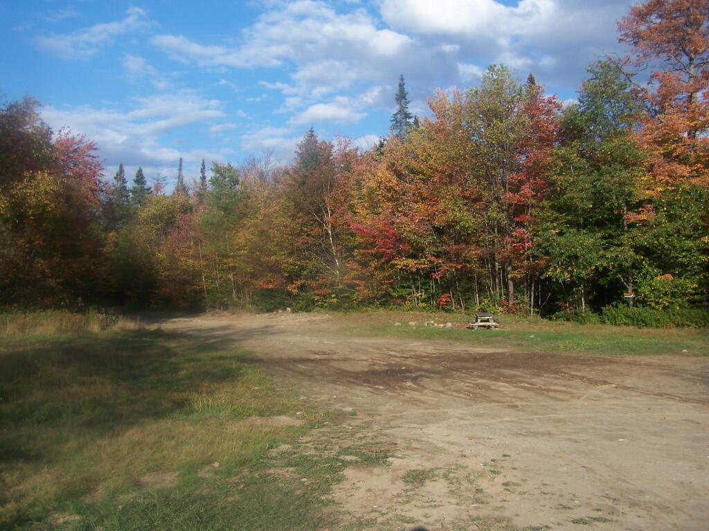 Photo: Campsite 7 at Wakely Dam Photo: Campsite 7 at Wakely Dam