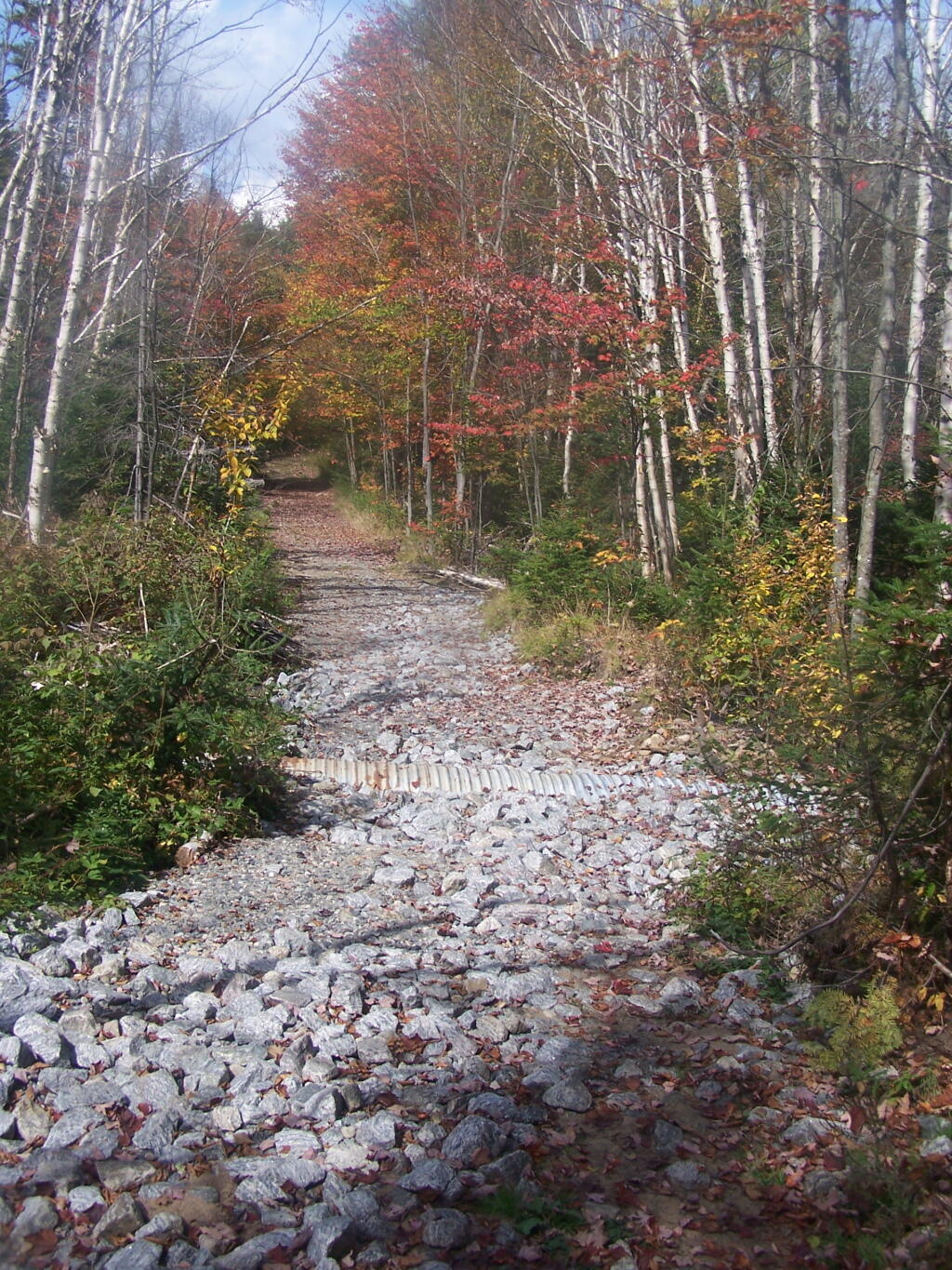 Photo: Filled in Washout on Wakely Mountain Road Photo: Filled in Washout on Wakely Mountain Road