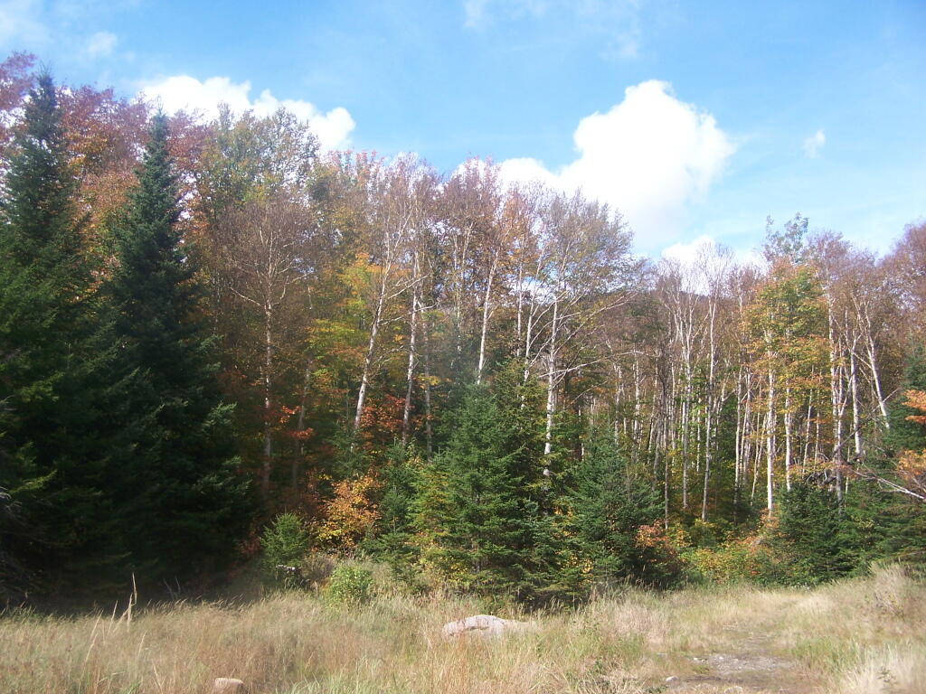 Photo: Another Open Sand Pit Along Trail Photo: Another Open Sand Pit Along Trail