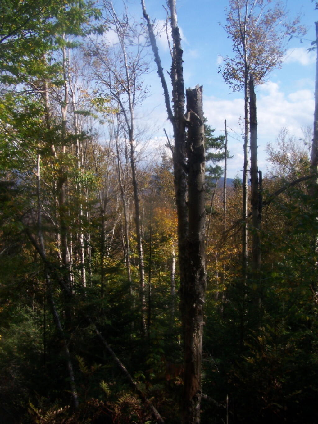 Photo: Peering Out Into the Valley Photo: Peering Out Into the Valley