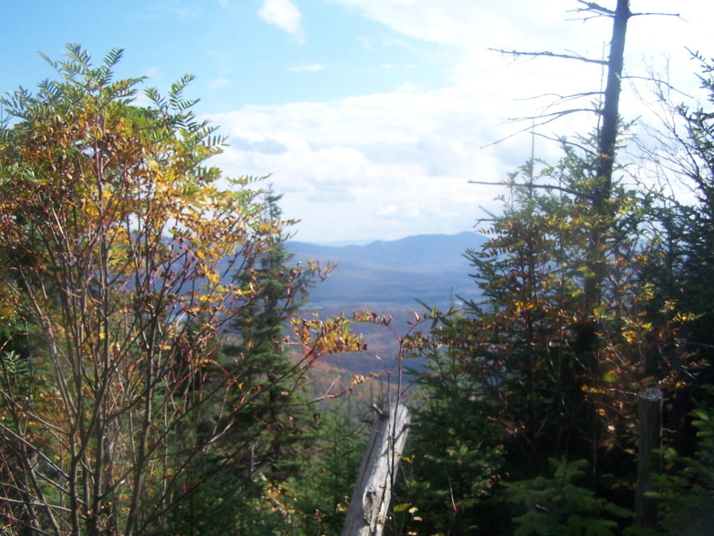 Photo: Views from Where It Opens Up