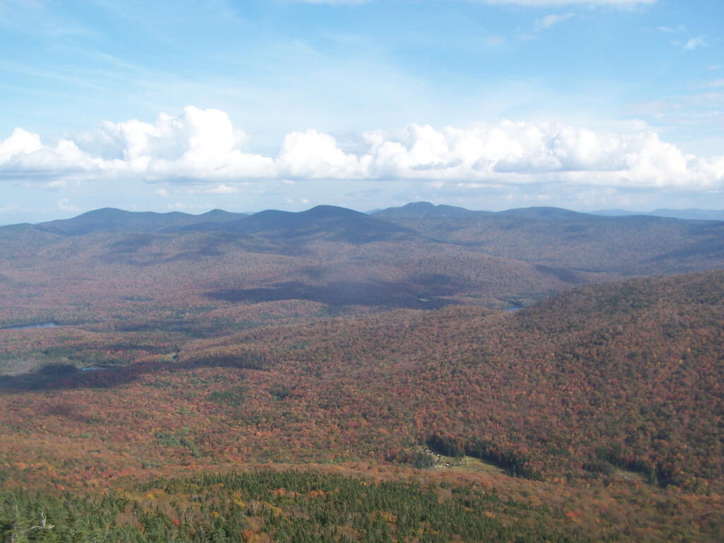 Photo: The Moose River Plains