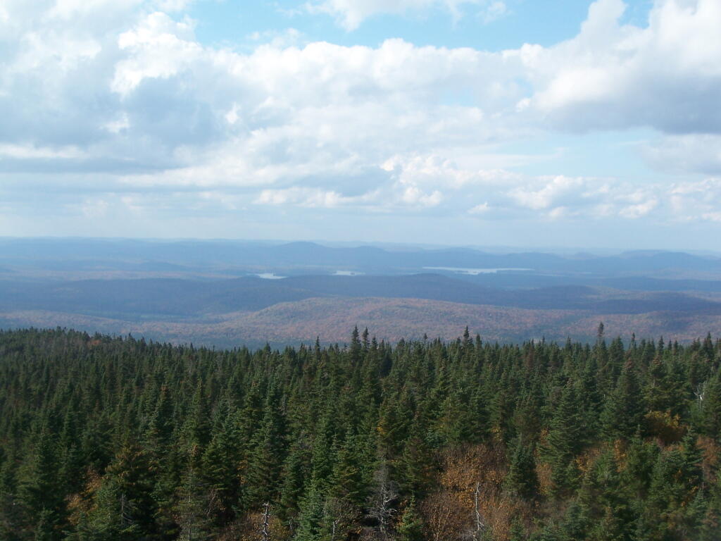 Photo: Towards the Fulton Chain of Lakes