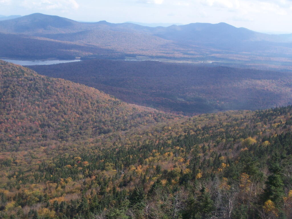 Photo: Looks Like Late Fall Here