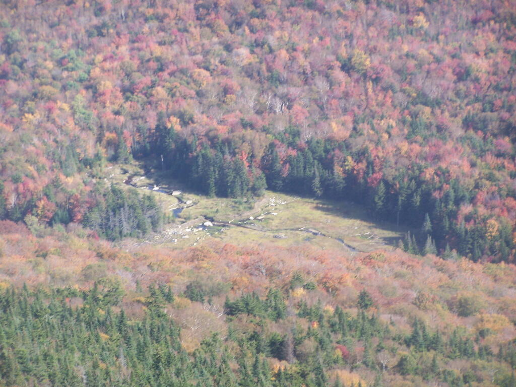 Photo: Swamp at Base of Wakely Mountain (Looking Down) Photo: Swamp at Base of Wakely Mountain (Looking Down)
