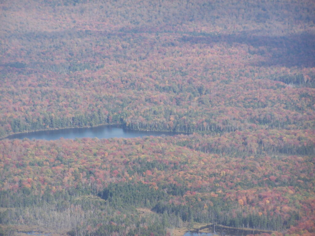 Photo: Wakely Pond