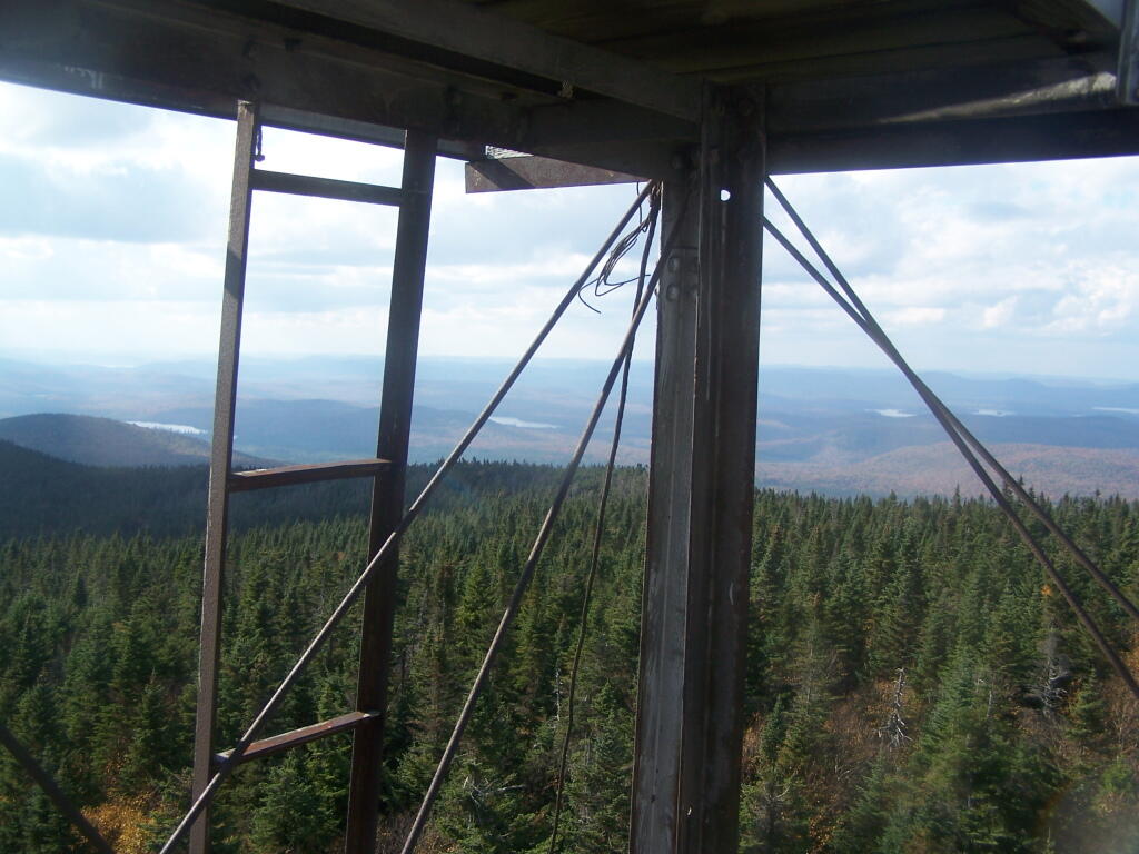 Photo: Ladder to the Top