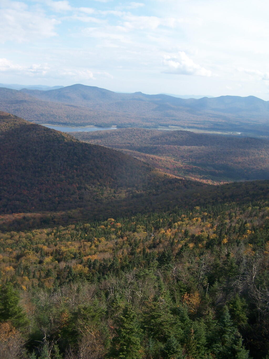 Photo: Moose River Plains (Vertical)