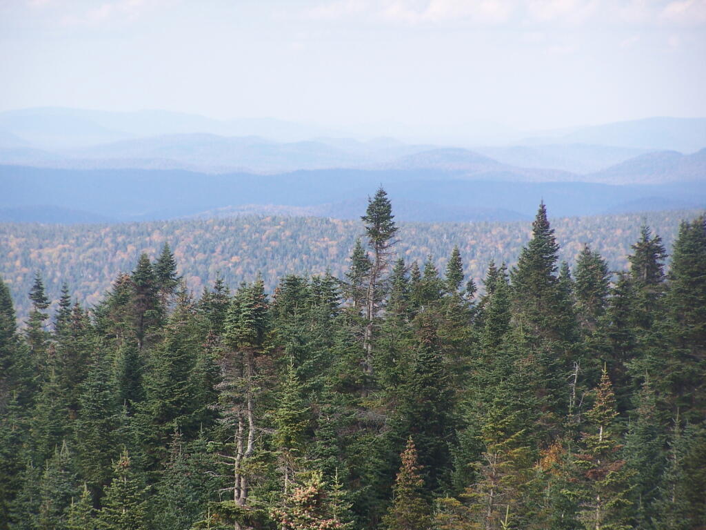 Photo: Blue Ridge Wilderness Photo: Blue Ridge Wilderness