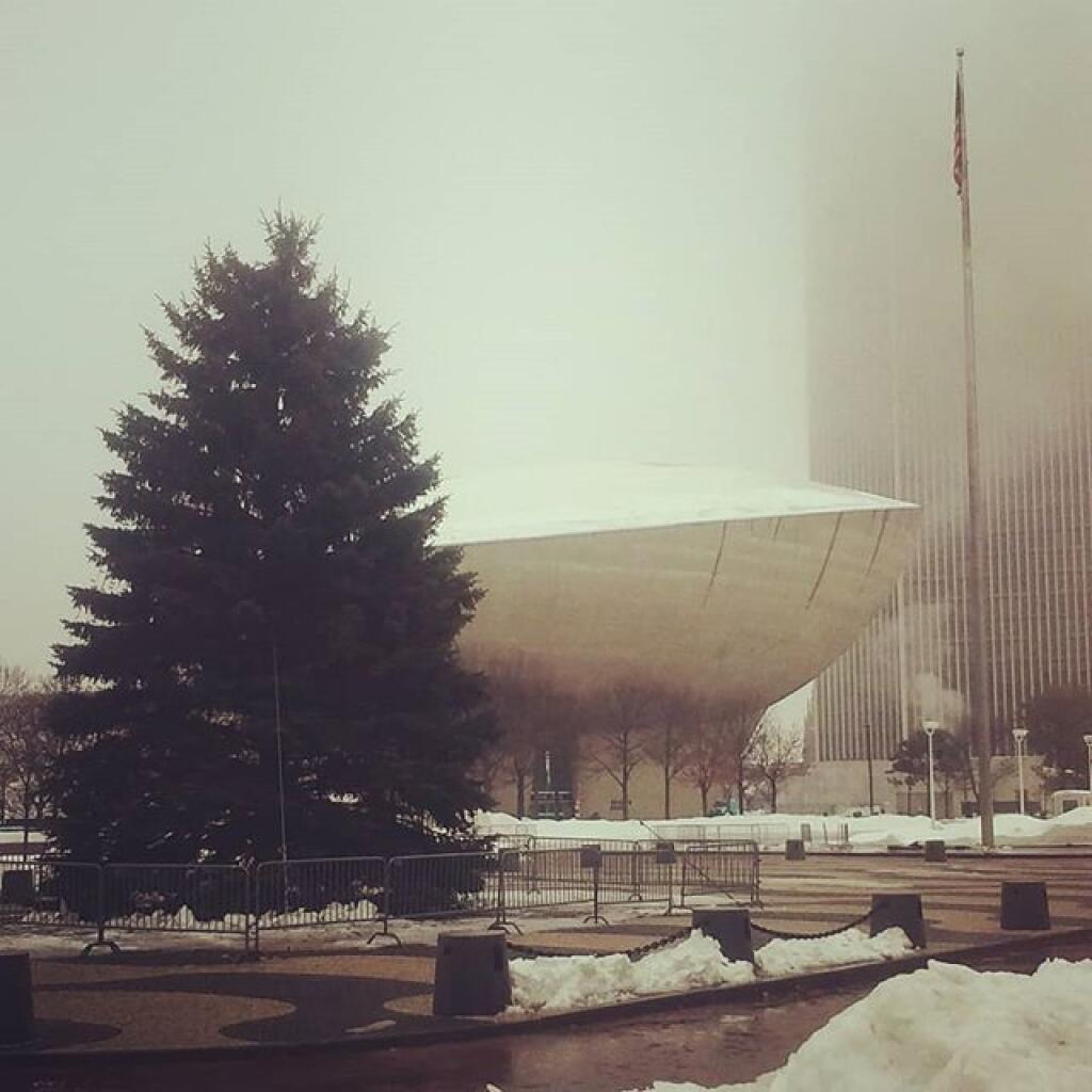 Photo: State Christmas Tree Photo: State Christmas Tree