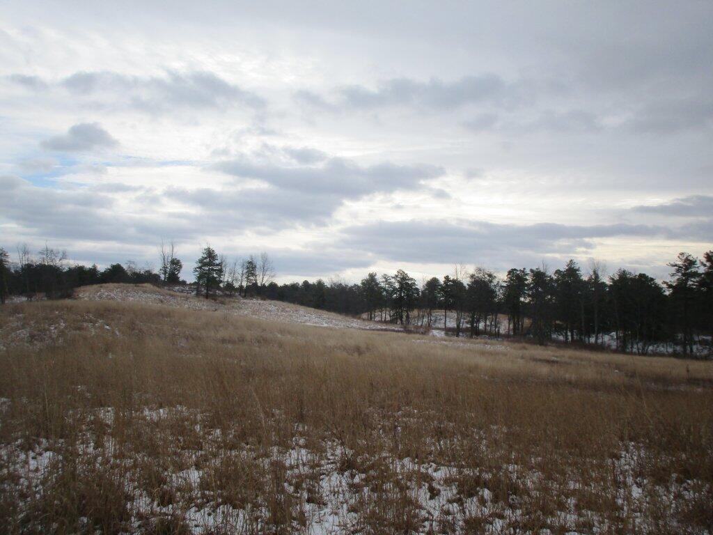 Photo: Kings Road Barrens