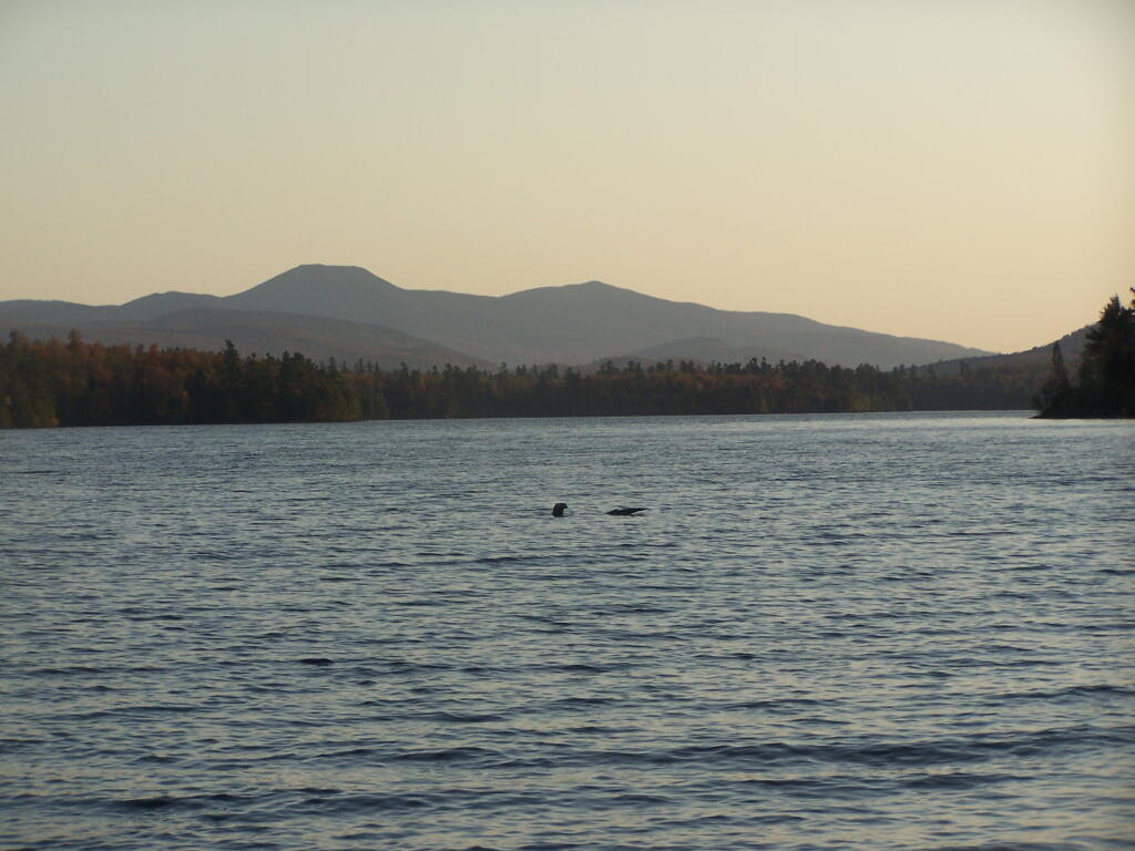 Photo: Shed and Knapp Hills