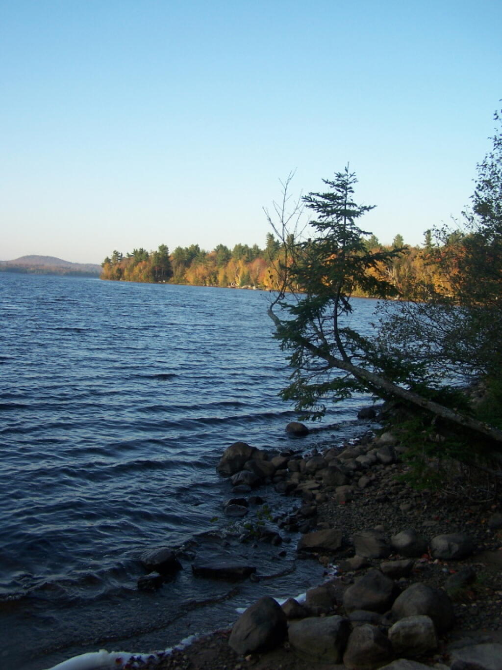 Photo: Shoreline of Union Falls Pond