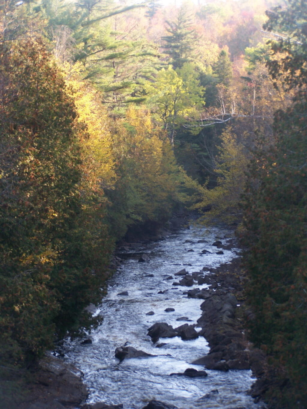 Photo: Saranac River: A Wild and Scenic River